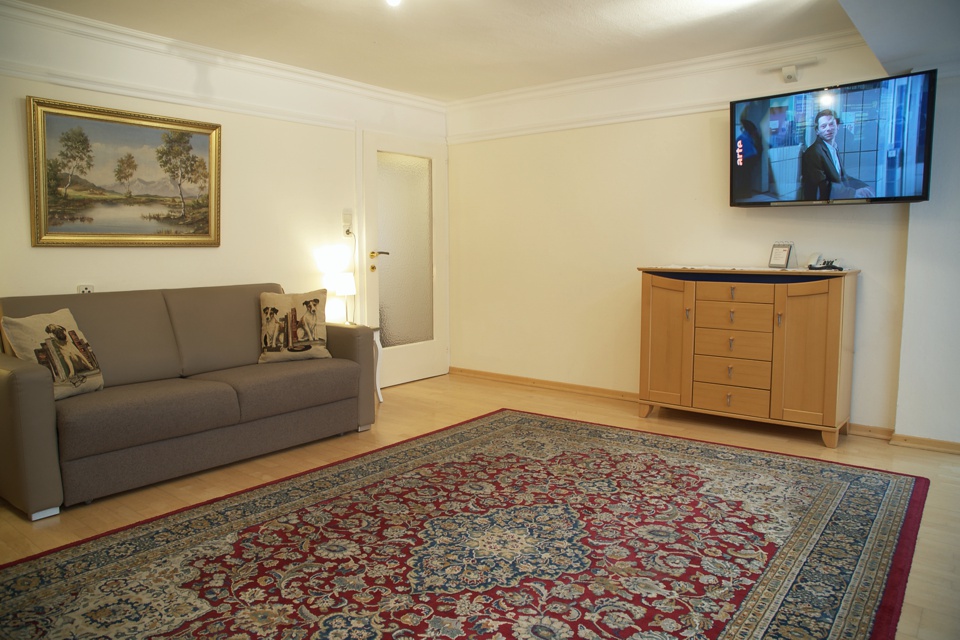 Ausziehsofa im Wohnraum